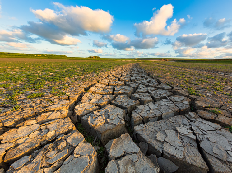 cracked earth in a dry land